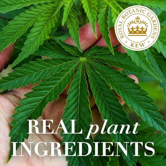 Herbal Essences bio:renew Potent Aloe + - Image 3
