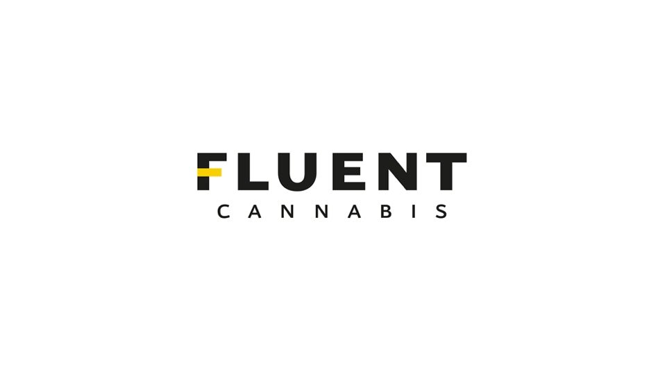 fluentlogo.wzjnlfo7a9.png